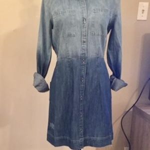 True Craft Denim Dress